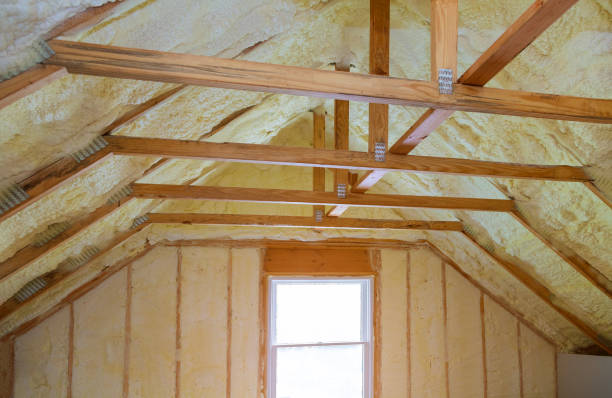 Best Insulation Removal Services  in Random Lake, WI