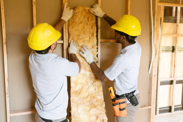 Best Home Insulation Services  in Random Lake, WI