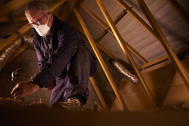 Best Professional Insulation Contractor  in Random Lake, WI