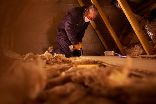 Best Professional Insulation Contractor  in Random Lake, WI