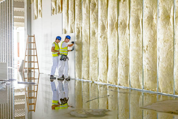 Best Commercial Insulation Contractor  in Random Lake, WI